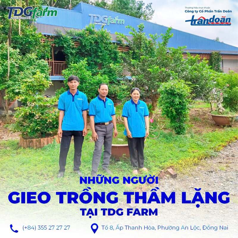 Hình ảnh công ty TDG Farm
